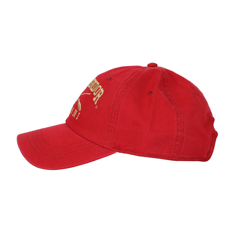 Harry Potter Gryffindor Alumni Adjustable Baseball Cap